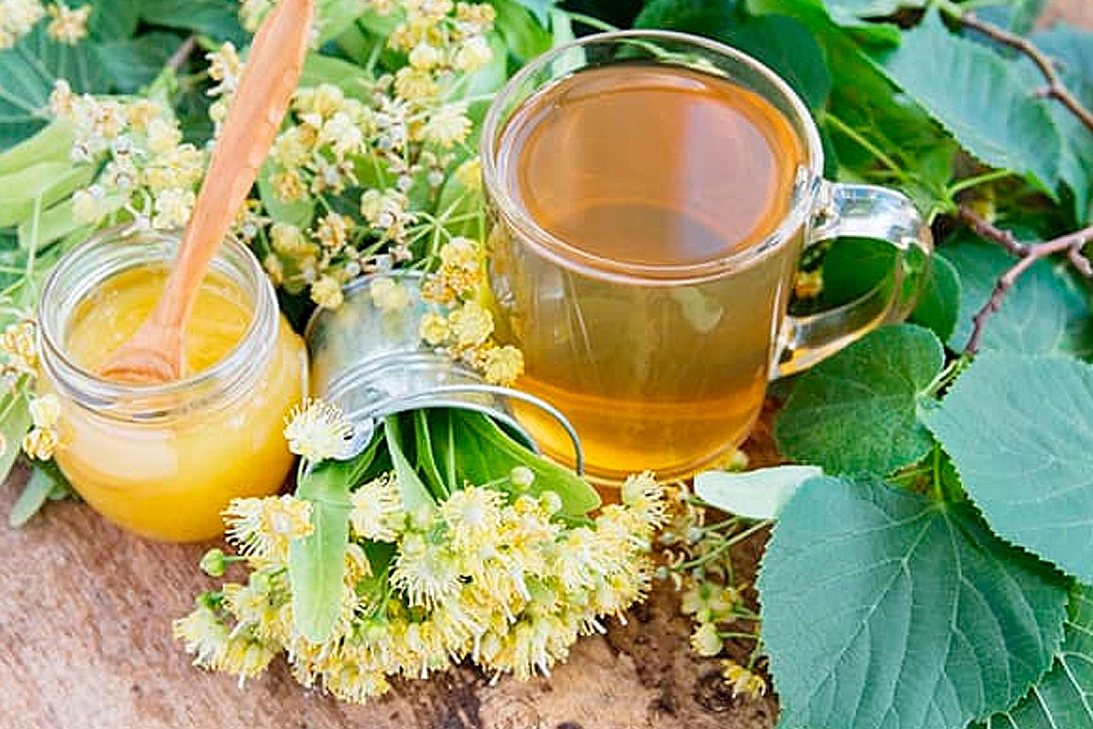 Sezóna začíná, takže sbírám, kolik jen můžu. Dělám z nich lahodný sirup do čaje