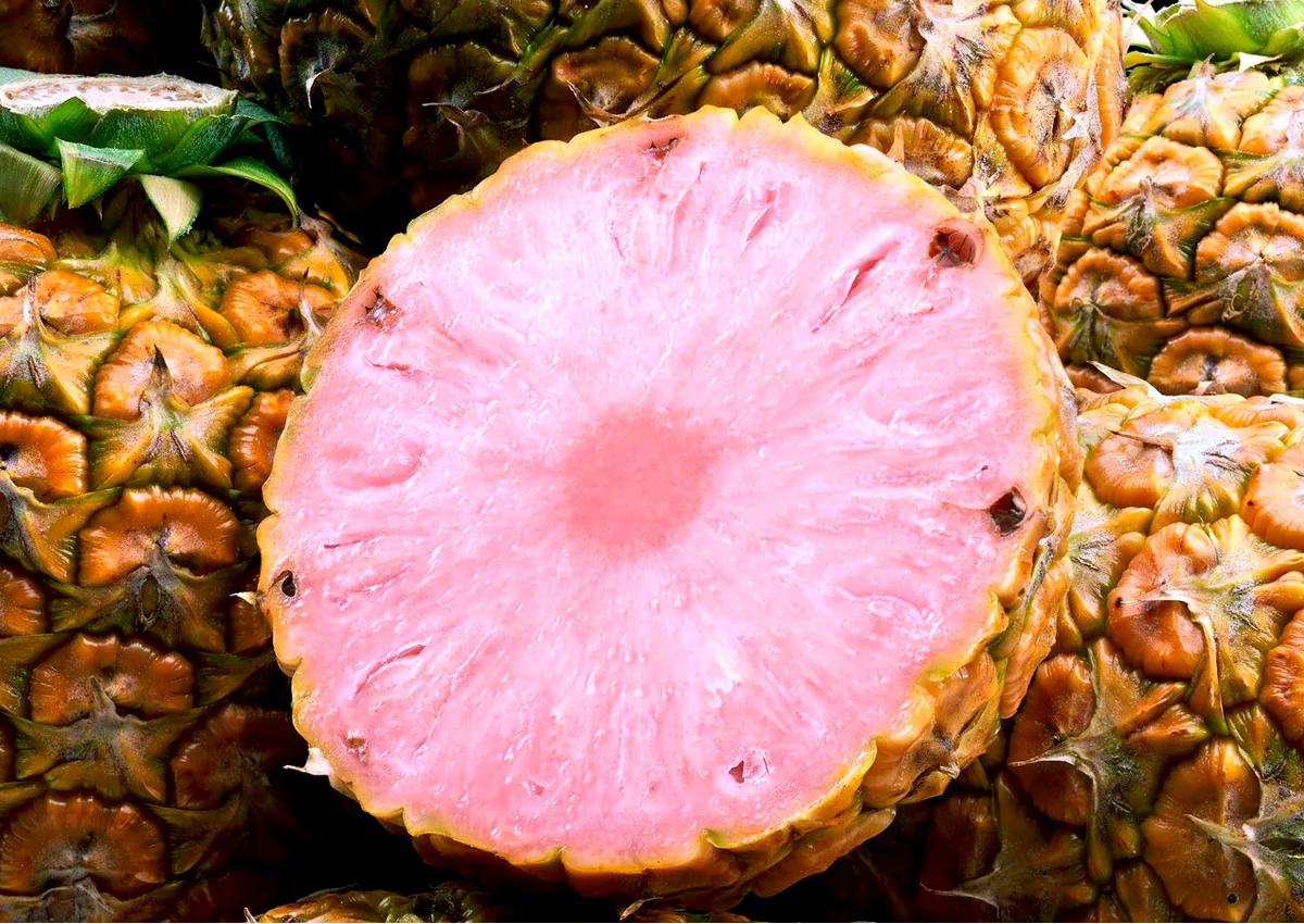 Růžový ananas? To je nový ovocný skvost, který chce každý ochutnat.