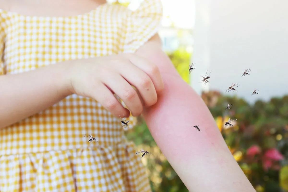 Banánová slupka není odpad, ale poklad, který můžete využít na mnoho způsobů