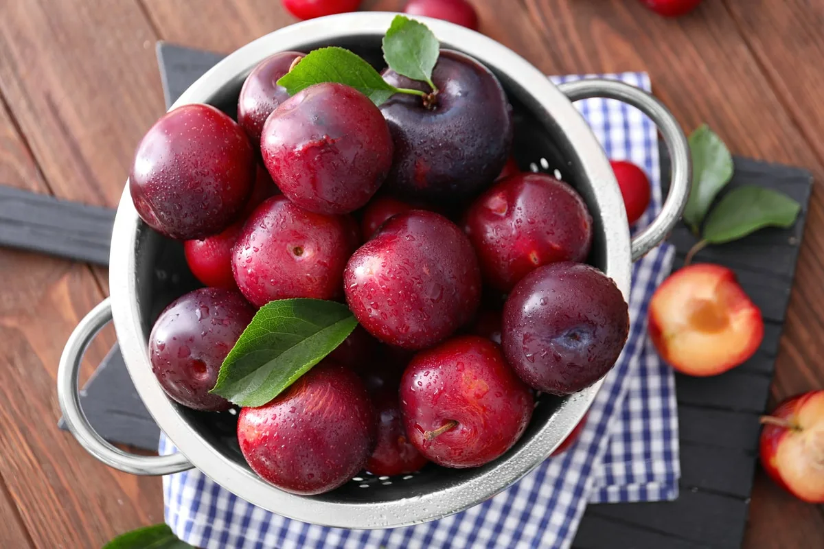 Smoothie bohatý na antioxidanty posiluje kosti a pomáhá předcházet neurodegenerativním onemocněním