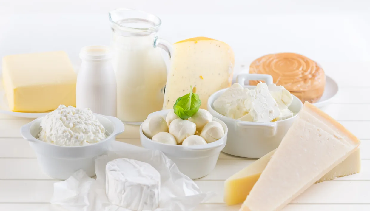 Nová studie ukazuje, že konzumace mléka zlepšuje střevní biodiverzitu a sýr snižuje množství určitých bakterií