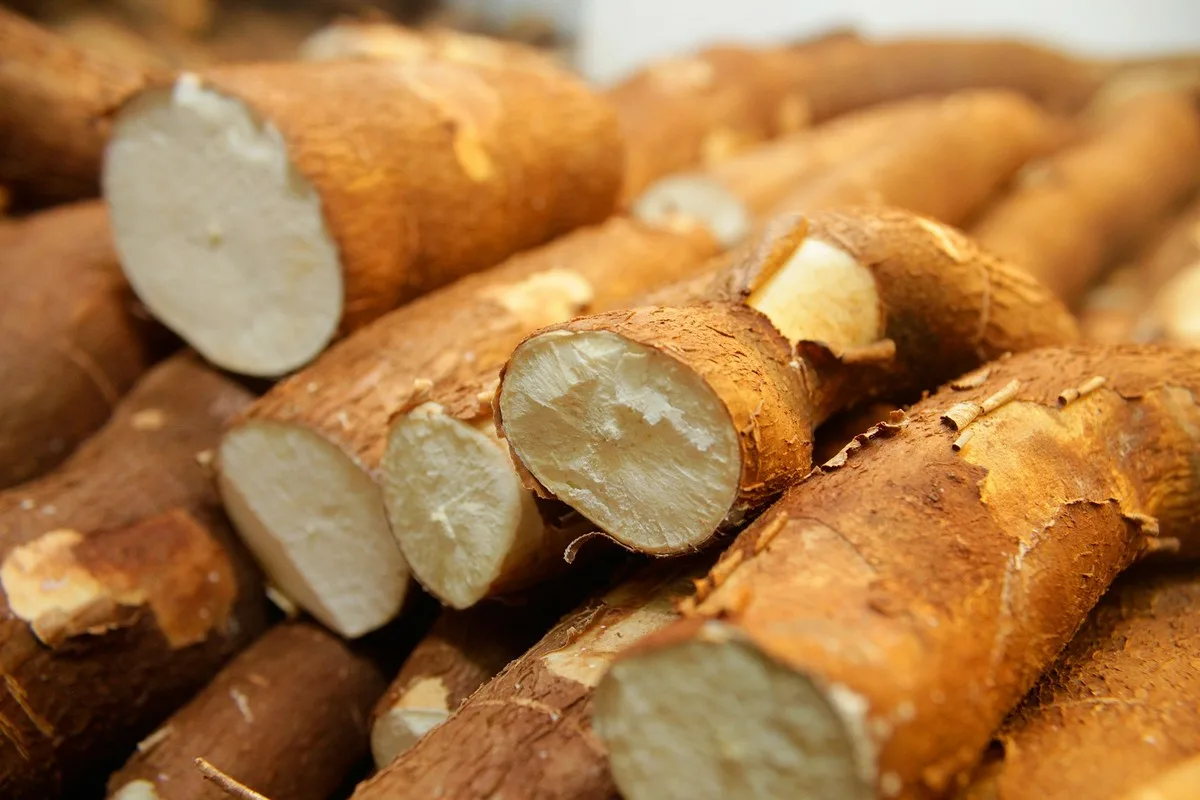 Kupte si ho, až ho uvidíte v obchodě. Zelenina, která chrání srdce, snižuje hladinu cholesterolu a zlepšuje trávení