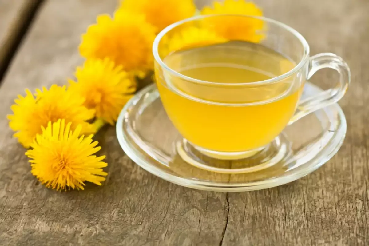 Neznámý čaj. Zpomaluje stárnutí, chrání játra, brání přibývání na váze