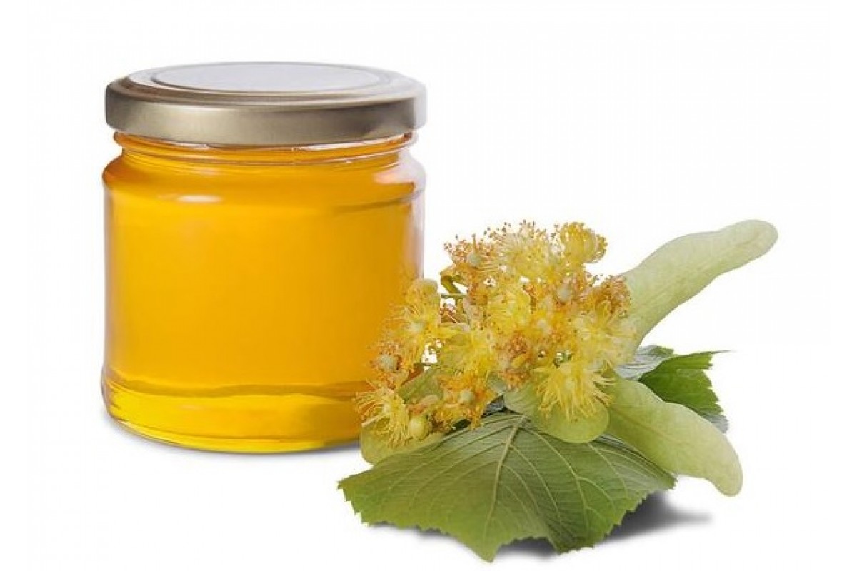 Sezóna začíná, takže sbírám, kolik jen můžu. Dělám z nich lahodný sirup do čaje