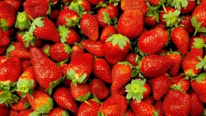 marmeládu