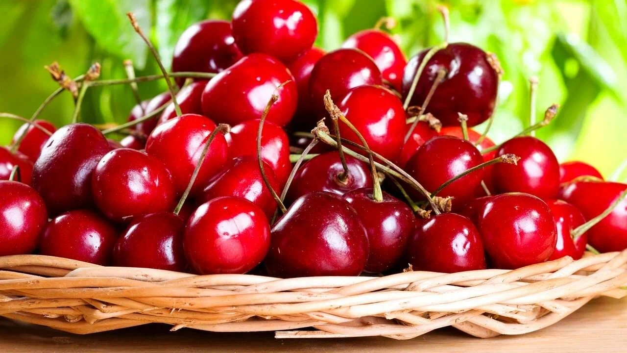 Jaký vliv má jedna šálek třešní denně na organismus? Výzkumy hovoří jasně