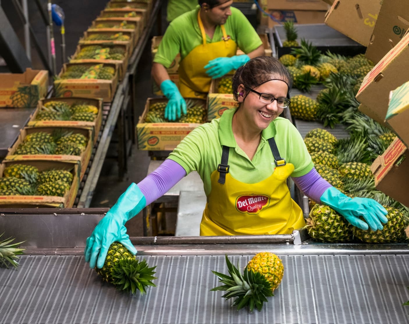Růžový ananas? To je nový ovocný skvost, který chce každý ochutnat.