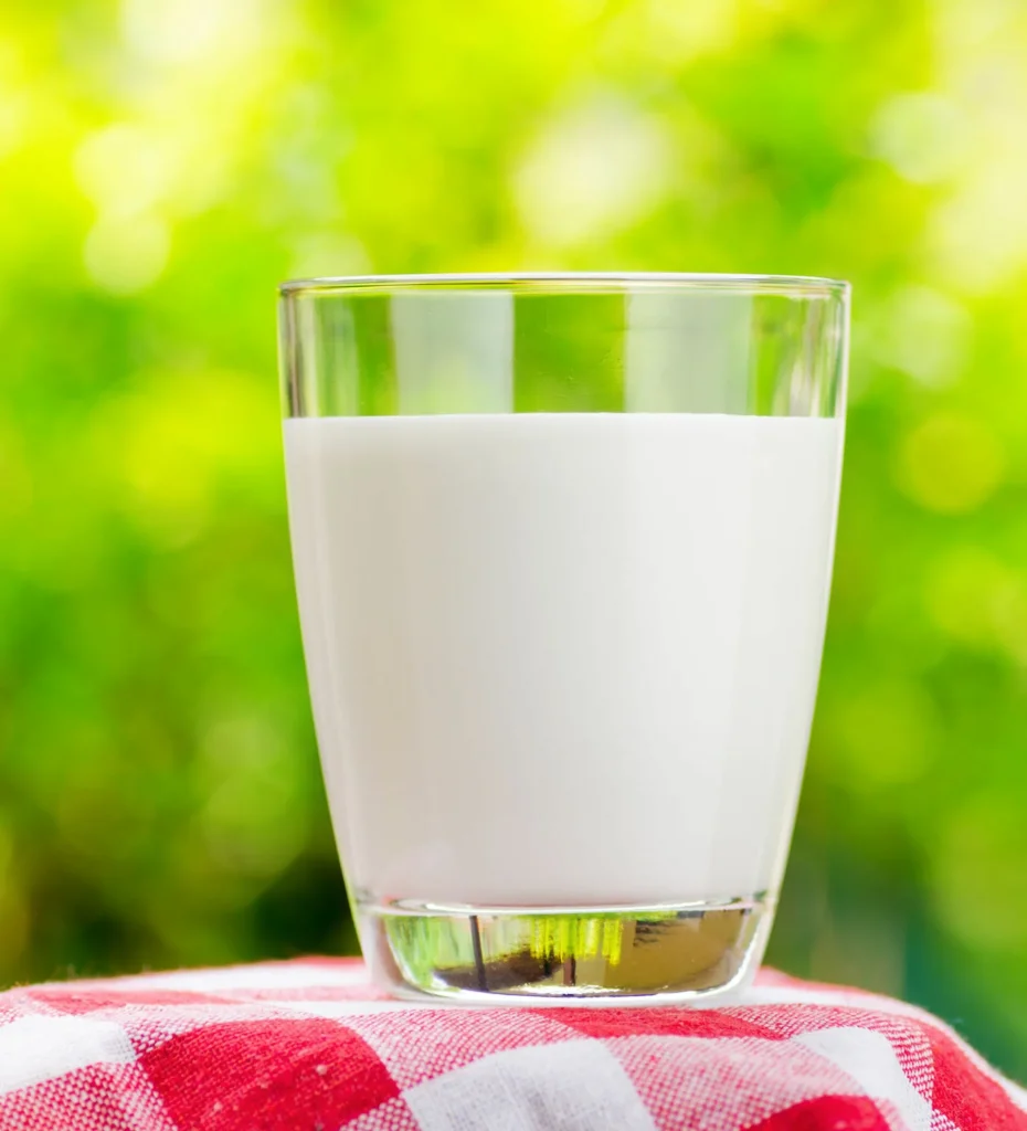 Kefír, kombucha nebo jogurt: Jaké jsou jejich rozdíly a který je zdravější?