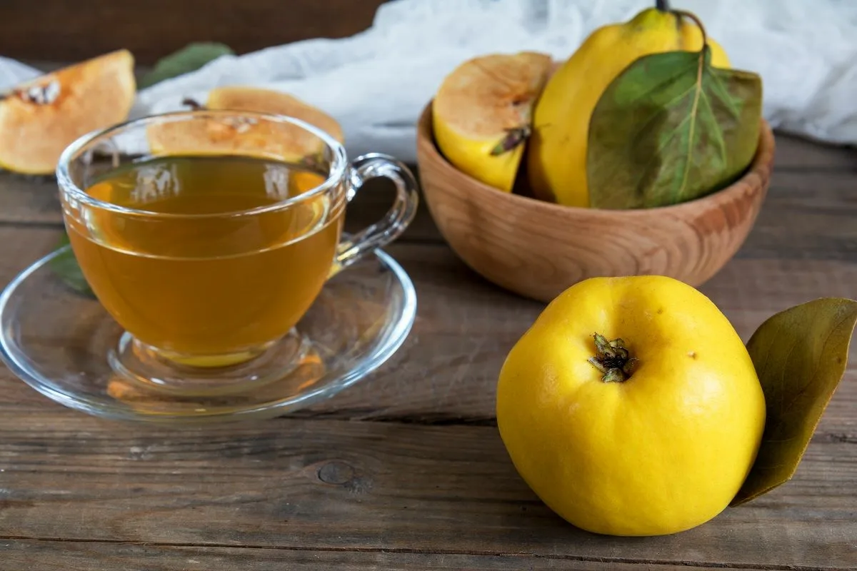 Nálev z listů citronu a guavy: silný antioxidant, který také pečuje o vaše trávení