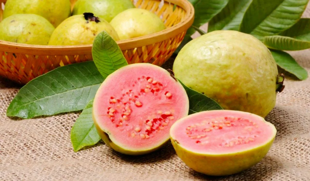 Nálev z listů citronu a guavy: silný antioxidant, který také pečuje o vaše trávení
